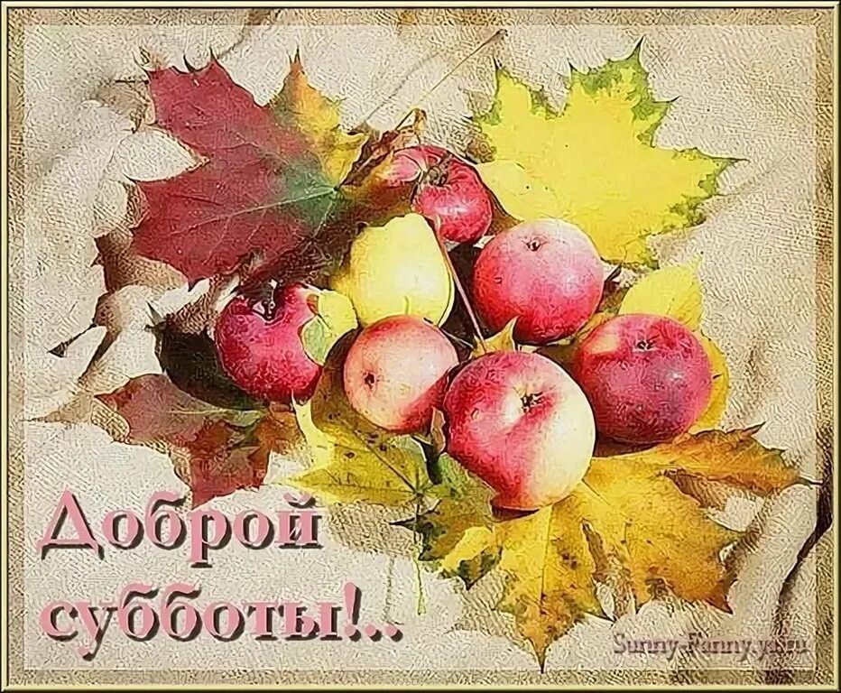 Доброго дня хорошего осенние