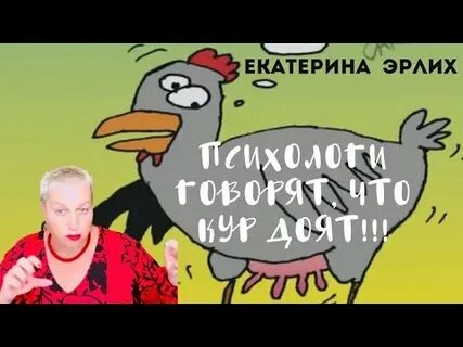Кур доят