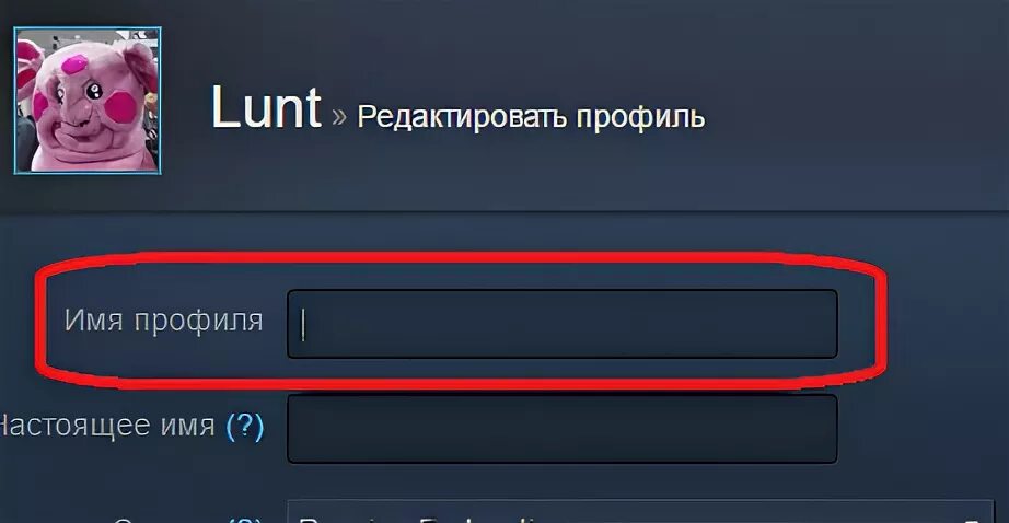 Как сделать пустой ник