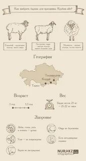 Выбрать барана
