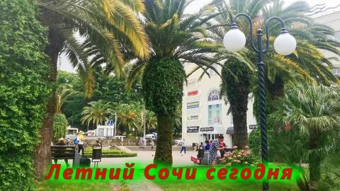 Отдых в сочи лето 2024