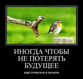 Иногда прошлый