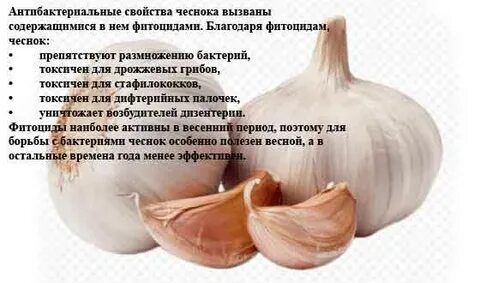 Чеснок от грибка