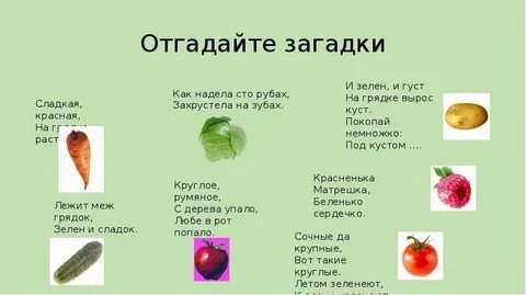 Загадка овощи одним словом
