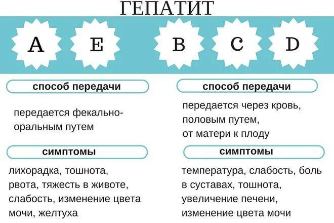 Гепатит ответы. Гепатит с передается каким путем. Гепатит передается каким путем передается. Гепатит с передается каким путем от человека к человеку. Способы передача гепатита c.