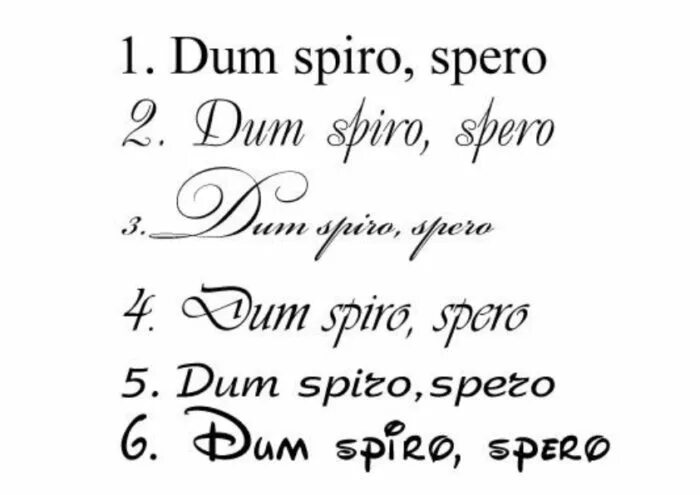Латинская поговорка пока дышу надеюсь. Dum перевод с латинского. Dum spiro spero перевод. Dum spiro spero надпись. Пока дышу надеюсь на латыни.