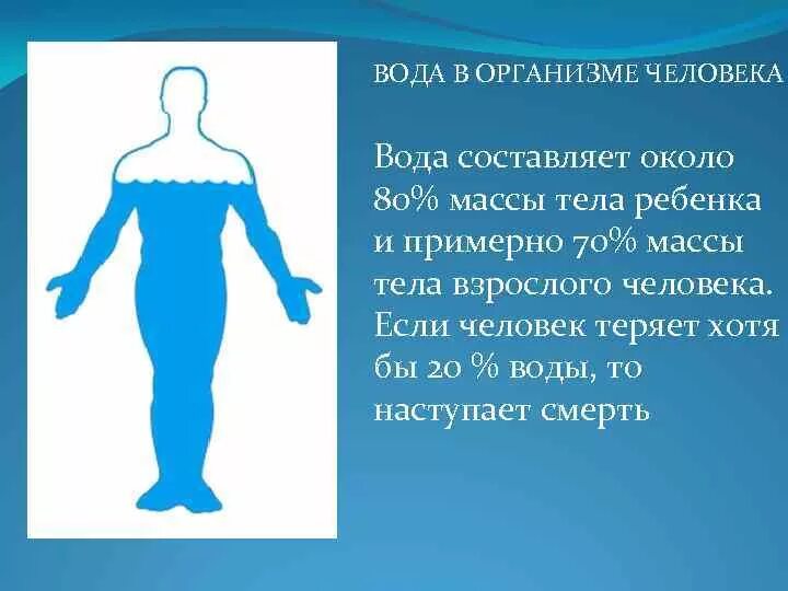 Сколько жидкостей в организме. Вода в организме человека. Процент воды в человеке. Ода в организме человека.. Сколько воды в человеке.