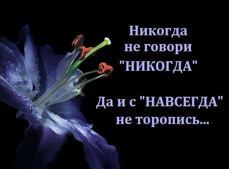 Никогда не был никогда приехал. Никогда не говори никогда. никогда не говори никогда цитата. никогда не говори никогда цитаты статусы. никогда не говори никогда и с навсегда не торопись.