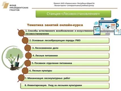 Социальное проектирование и грантовая поддержка тест