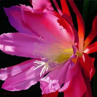 A big flower