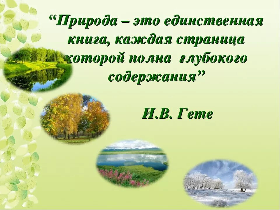 Природа высказывания великих. Высказывания о природе. Цитаты про природу. Высказывания о природе и экологии. Красивые цитаты про природу.