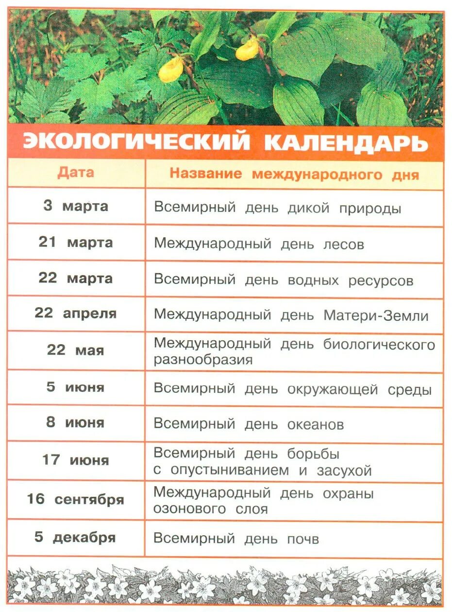 Экологические дни в году. Экологический календарь. Календарь экологических дней. Международные экологические дни. Международные экологические LYB.