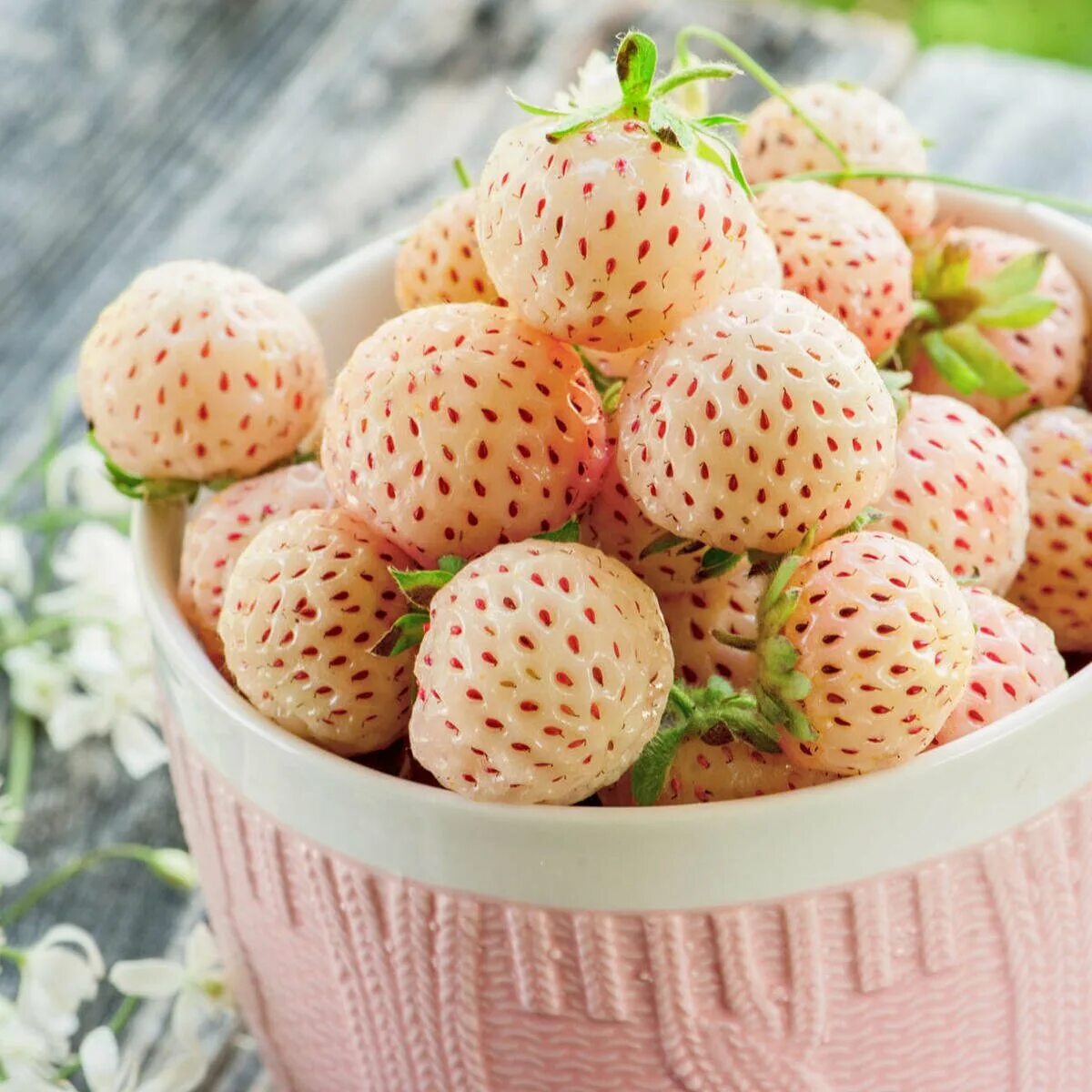 Клубника анабланка. Клубника Pineberry. Земляника Пайнберри. Клубника Сноу Вайт. Пайнберри клубника рассаду.