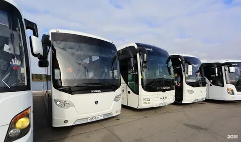 Аренда автобуса 40