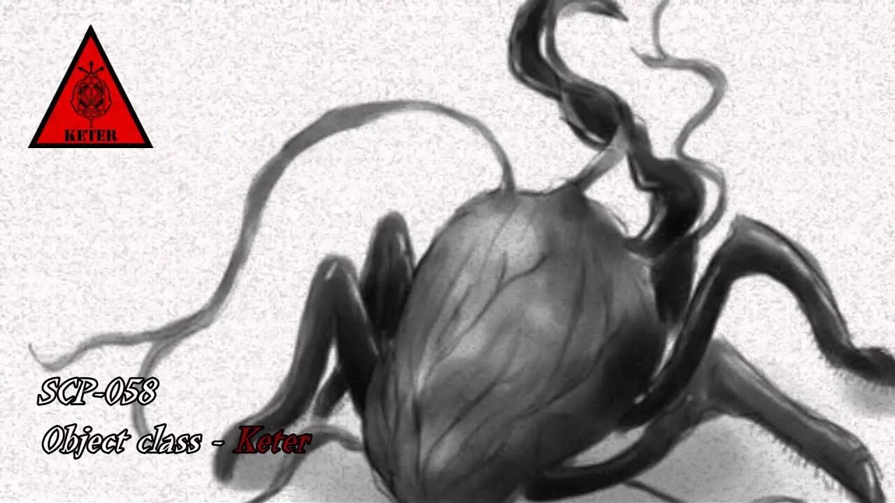 Джозеф конрад "сердце тьмы". Encassator never. Encassator исполнитель. Encassator never. Heart of darkness encassator.