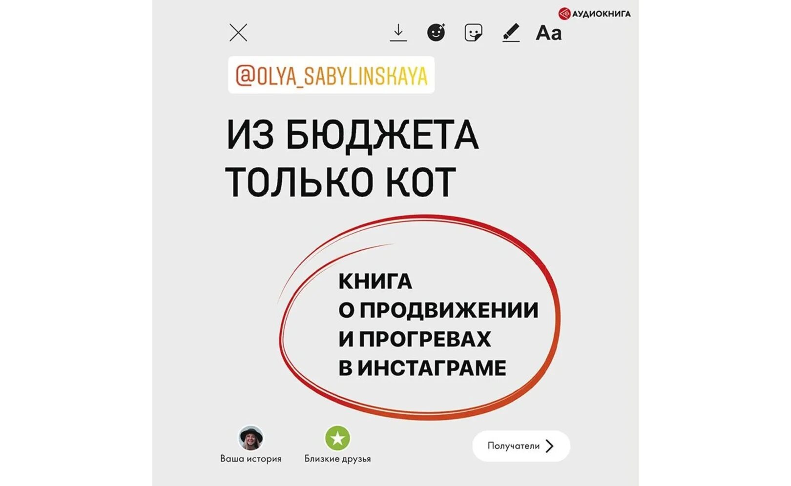 А не только бюджет. Оля сабылинская. из бюджета только кот книга. из бюджета только кот.