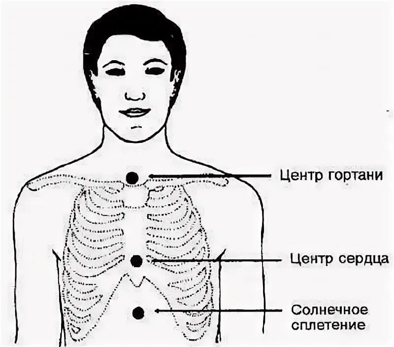 Расположиться посередине. Солнечное сплетение. Солнечное сплетение где находится. Солнечное сплететение. Где находитсясолнечнре сплетение.