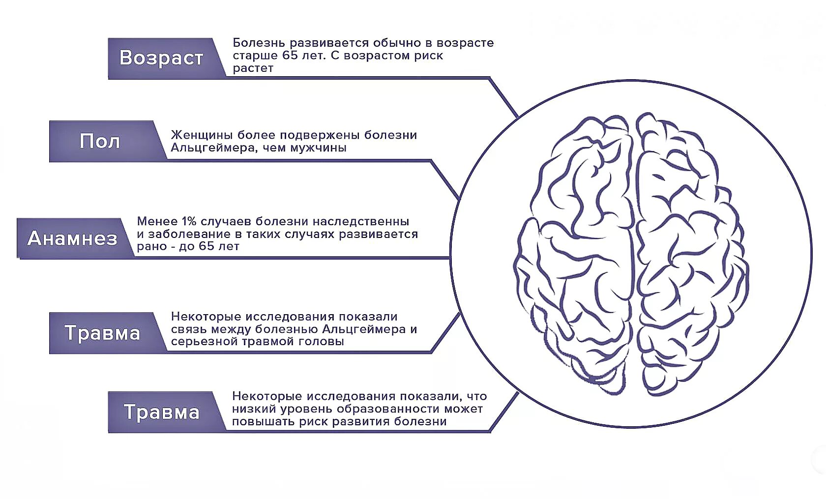 Тест альцгеймера сколько лиц на картинке. Факторы развития болезни Альцгеймера. Факторы риска болезни Альцгеймера. Факторы заболевания Альцгеймера риска болезни. Динамика развития болезни Альцгеймера.