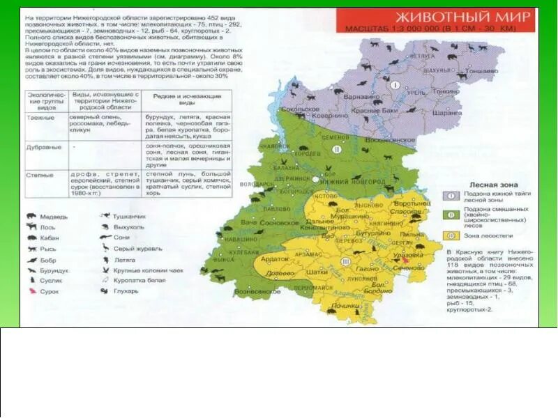 Величина нижегородской области. Природные зоны Нижегородской области карта. Животный мир Нижегородской области карта. Нижегородская область климатическая зона карта-.