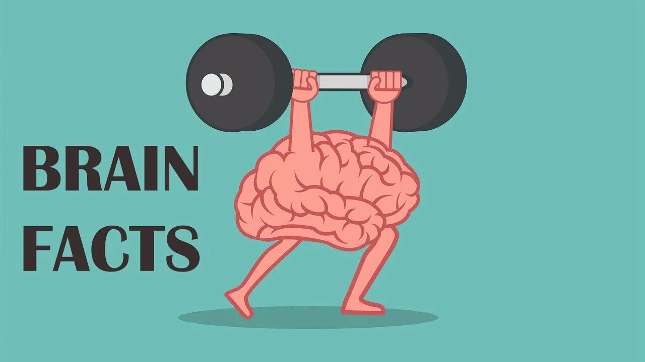Brain the action