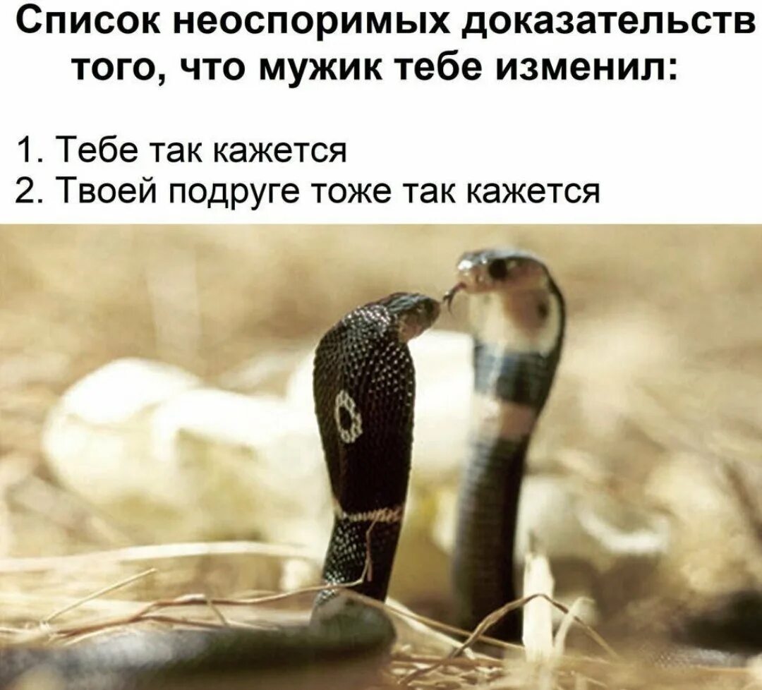 Что говорится змей