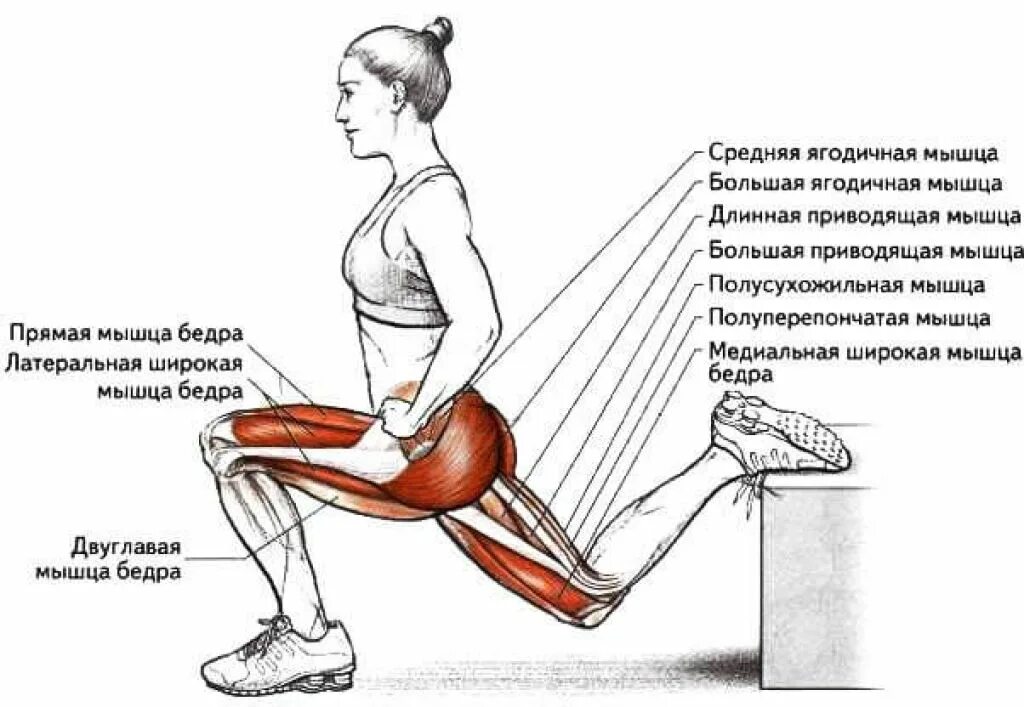 Системе быстро приводящий к
