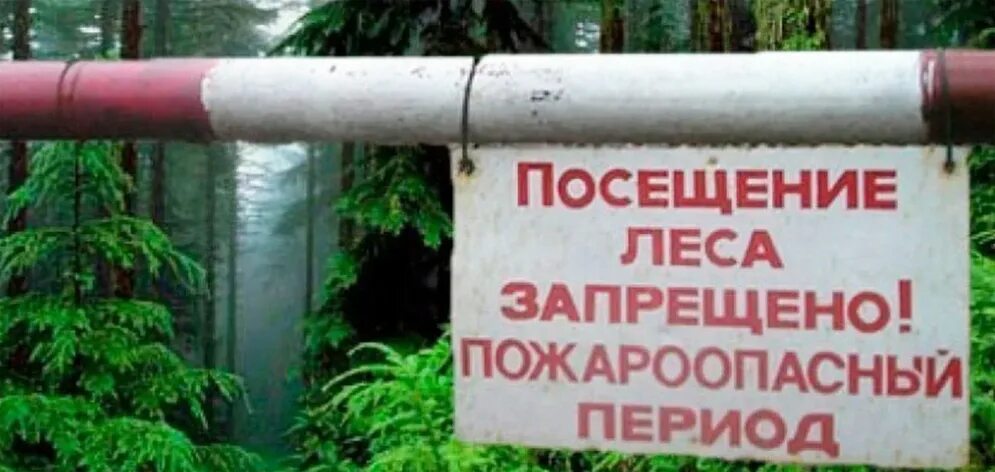 Ограничение посещения лесов. Ограничение посещения лесов. Запрещается посещать лес. Запрет на въезд в лес. Ограничение посещения лесов.