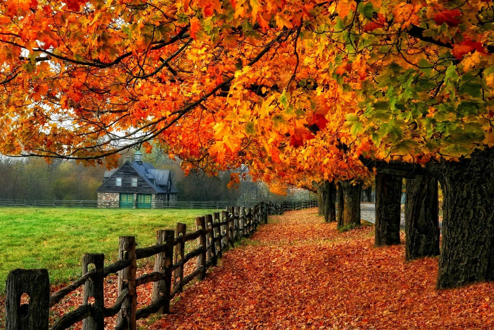 Осень фото красивые. Осень. Красивая осень. Природа осень. Прекрасная осень.