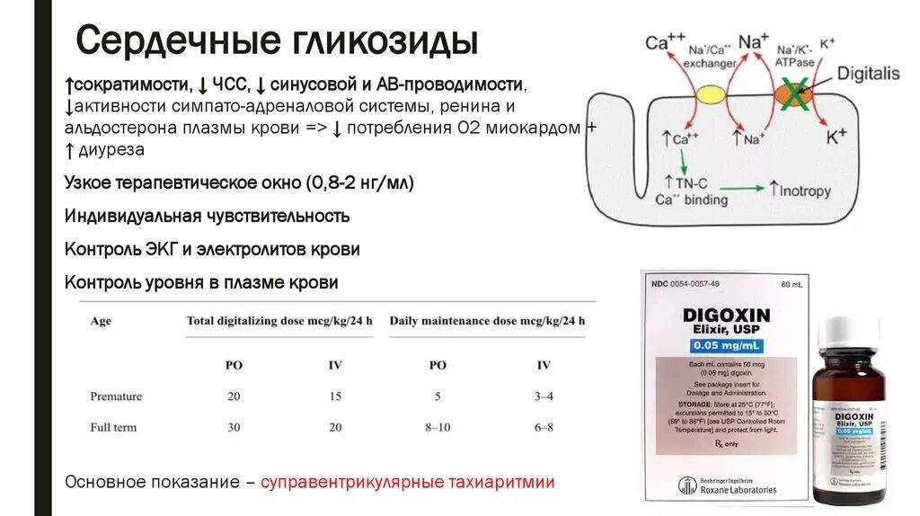 Тест сердечные препараты. Механизм действия сердечных средств. Сердечные гликозиды препараты механизм действия. Механизм действия сердечной гликозиды. Сердечные гликозиды для перорального введения.