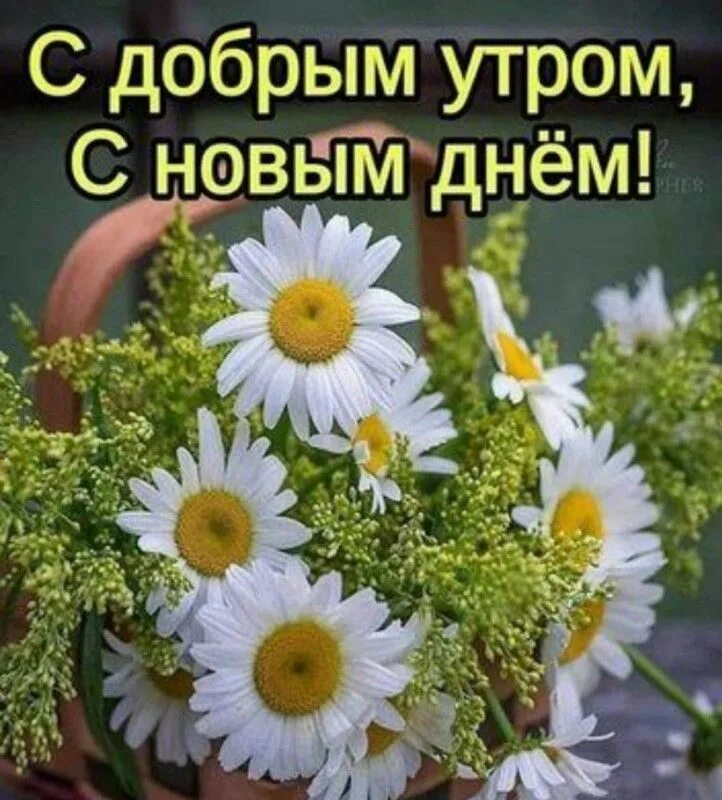 Доброго благословенного летнего дня