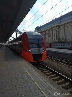 Сколько времени едет ласточка москва питер