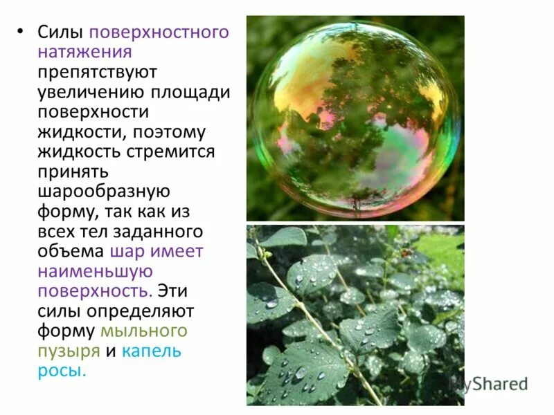 сила поверхностного натяжения. 14. почему капля в форме шара. способность жидкости сокращать свою поверхность называется. естественная форма воды.
