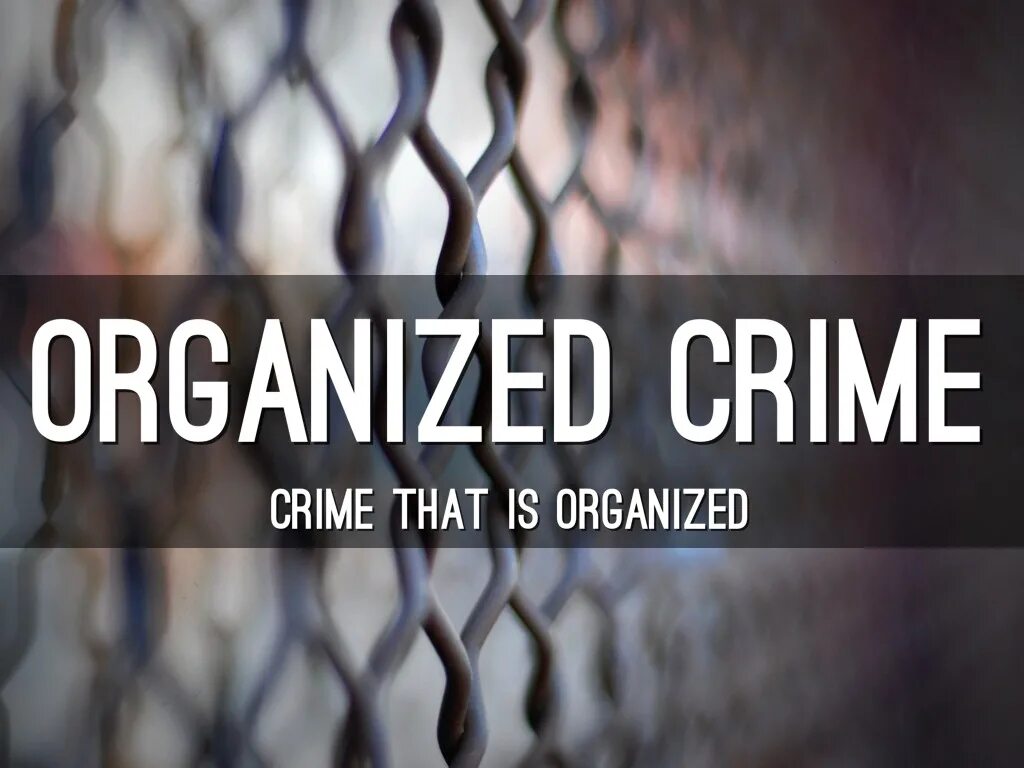 Organized crime. Treat organized crime. organized crime and vice division. treat organized crime 1989.
