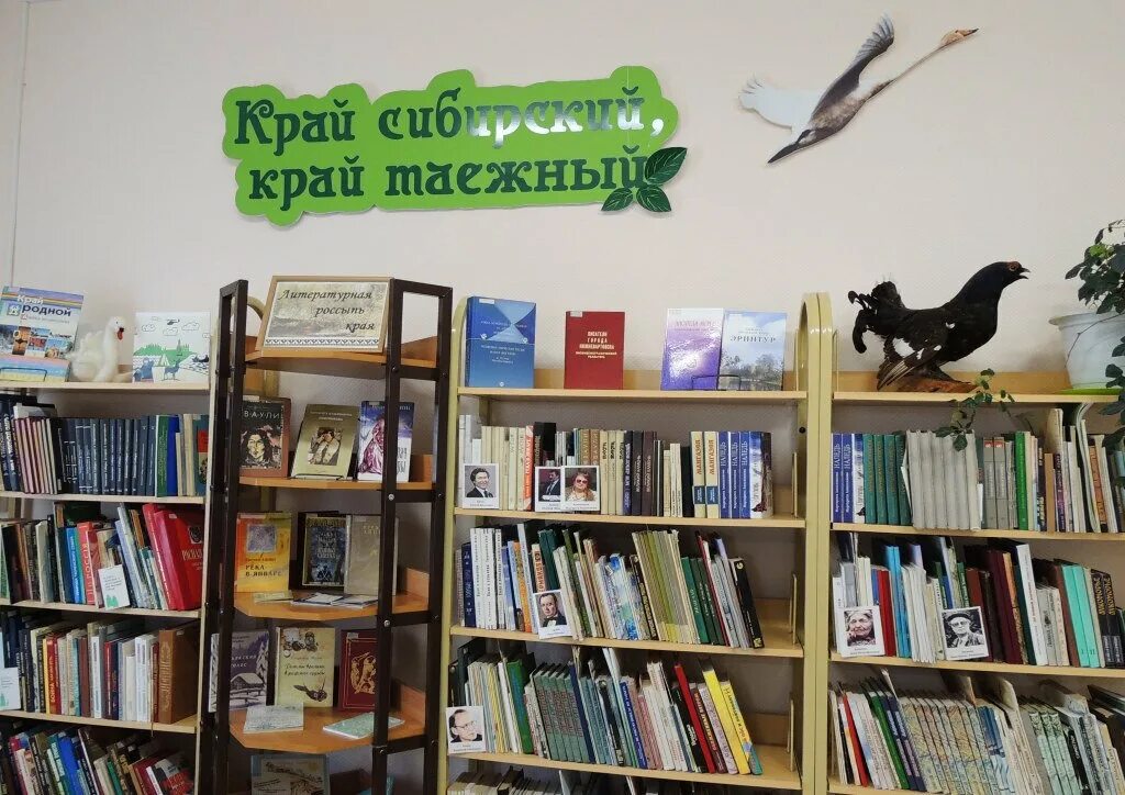 Номер городской библиотеки. Детская библиотека Нижневартовск. Городская детская библиотека. Городская библиотека Нижневартовск. Центральная детская библиотека Нижневартовск.