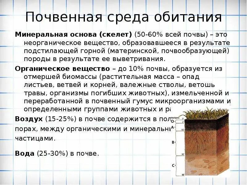 Среды обитания почвенная среда. Почва как среда обитания. Почвенная характеристика почвы. Почва среда.