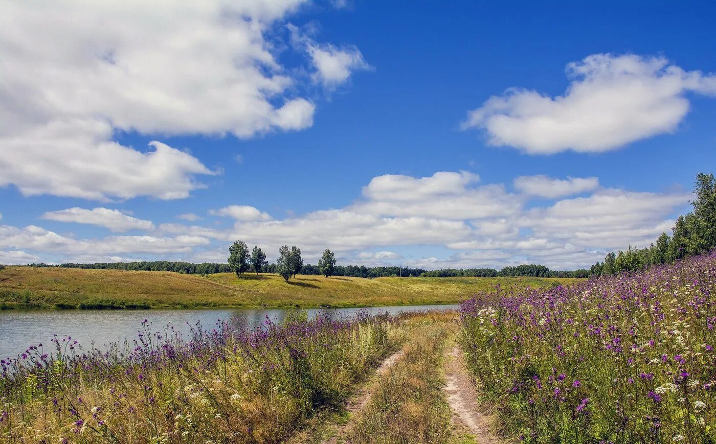 Полдень лето. Солнечная погода. 1982г. Мария ермилова серпухов картины. Начало лета лес.