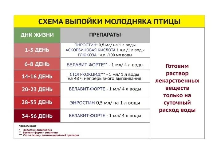 Аптечка ветеринарная 1 для цыплят инструкция по применению. Аптечка для выпойки цыплят. Ветеринарная аптечка для цыплят бройлеров. Аптечка ветеринарная для птиц КЗВС.