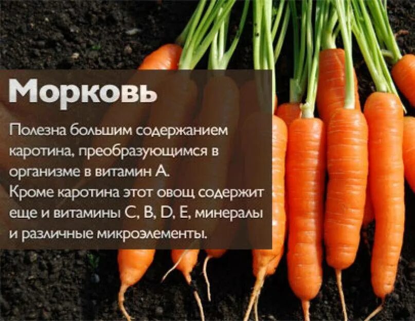 Морковь. Чем полезна морковка. Морковь полезна. Полезные витамины в моркови