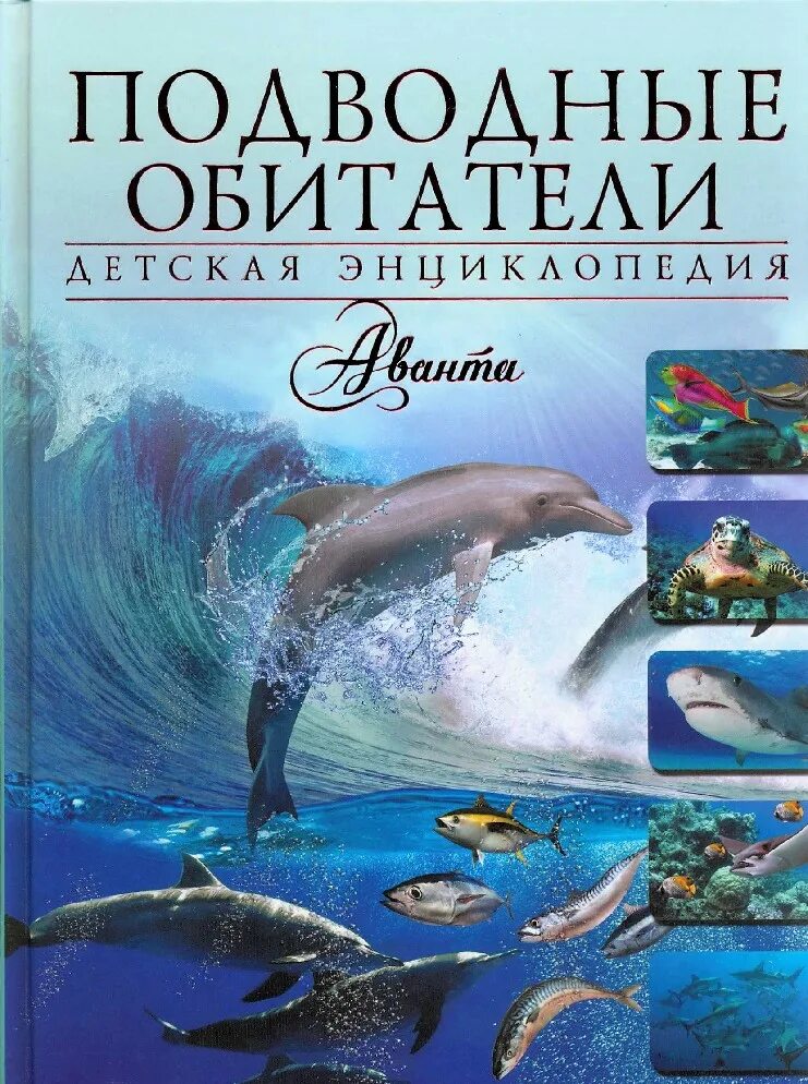 Подводный книги. Книга морские обитатели. Книги про морских обитателей для детей. Обложки книг о морских обитателях. Энциклопедия подводные обитатели.