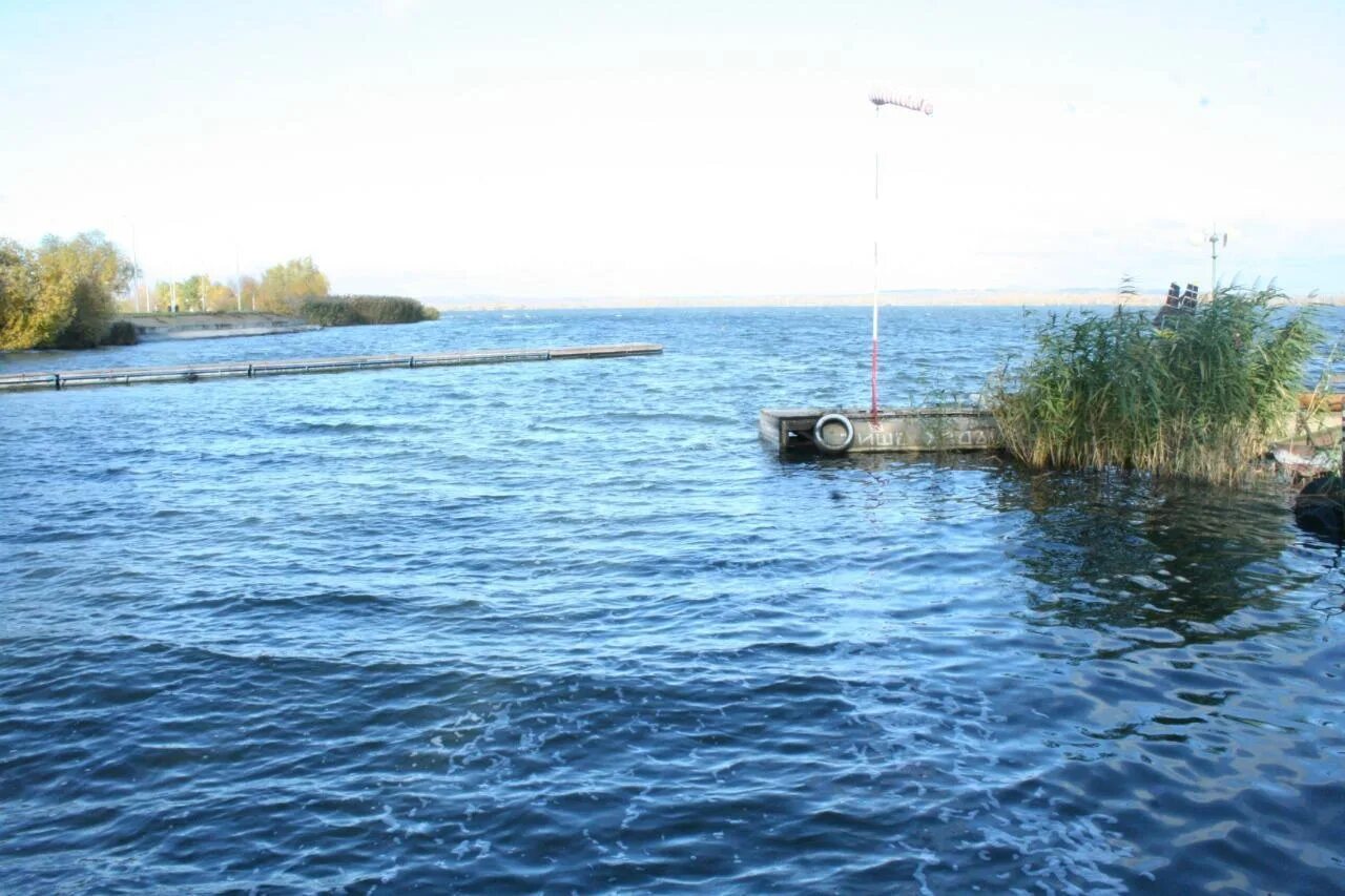 Курское водохранилище Курчатов. Водохранилище Курск. Курчатовское водохранилище Курской области. Курчатовское водохранилище осетр. На курском водохранилище