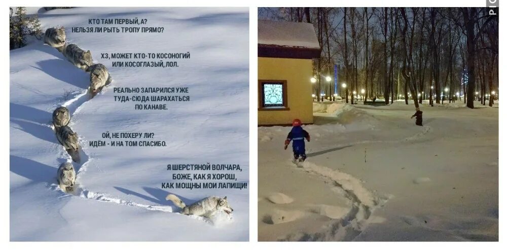 Нельзя ли для прогулок горе