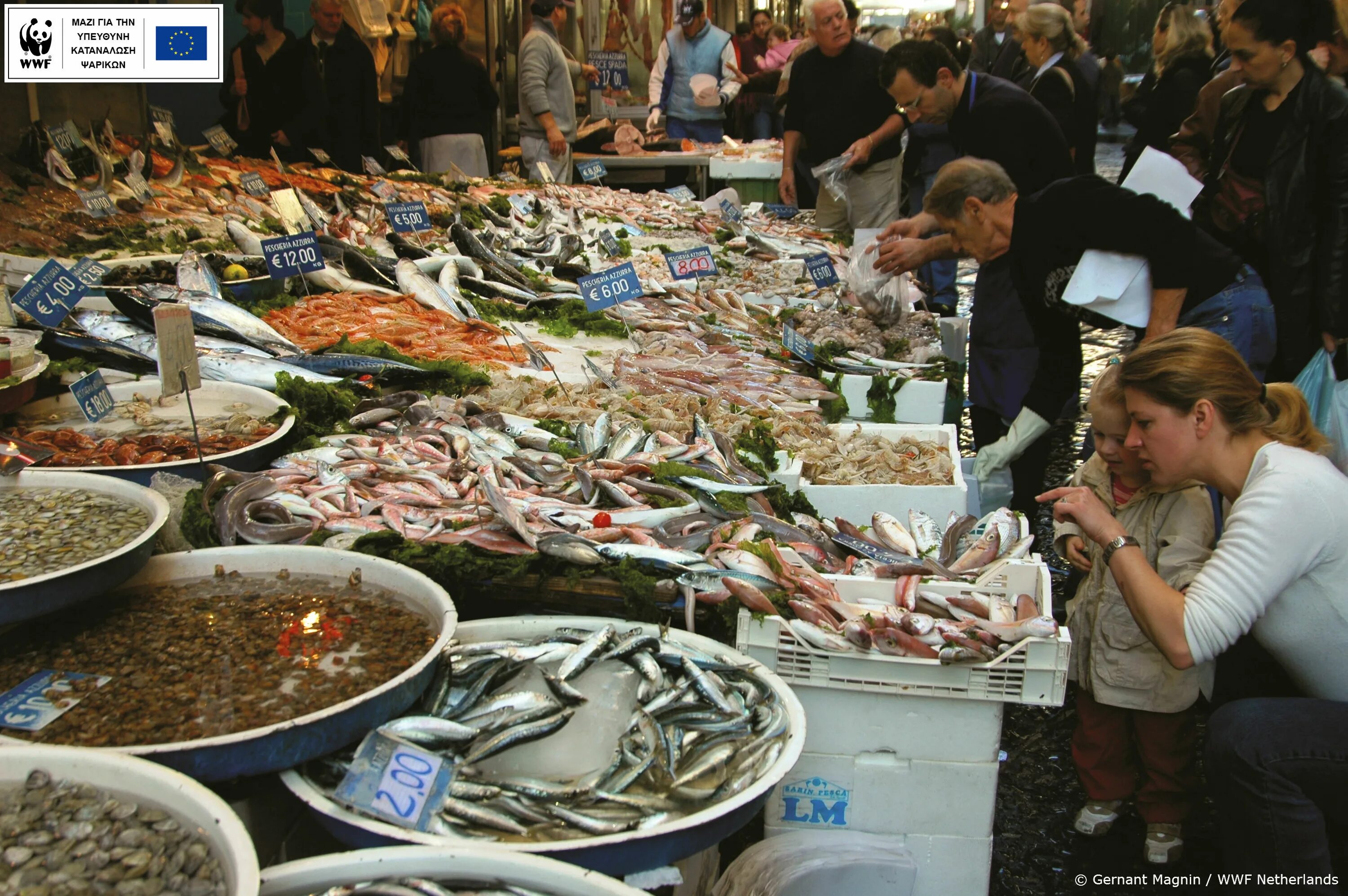 Где рыбный рынок на волне. Японский рыбный рынок. Рынок в Голландии. Рынок морепродуктов Голландия. Рыбий рынок.