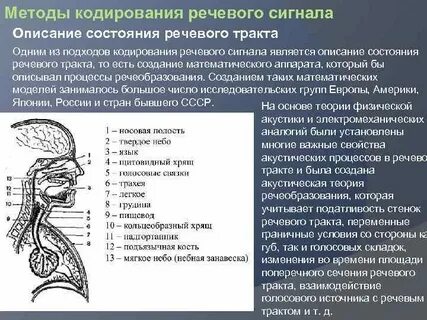 Процесс кодирования речи