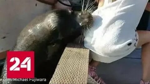 Девочку утащило под воду
