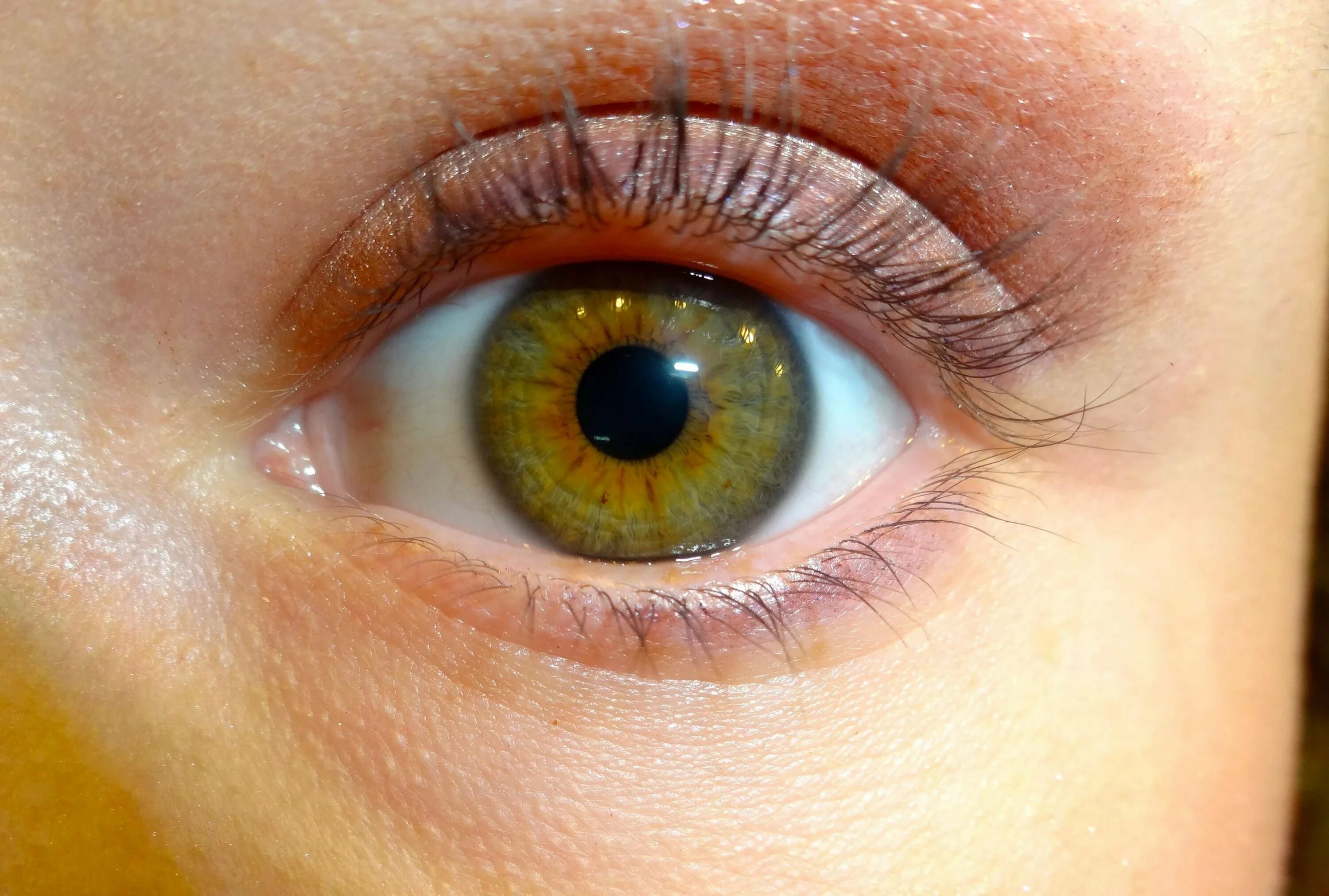Зелено голубо желтые глаза. Центральная гетерохромия хамелеон. Болотный цвет глаз гетерохромия. Центральная гетерохромия Радужки глаз. Центральная гетерохромия Хейзел.
