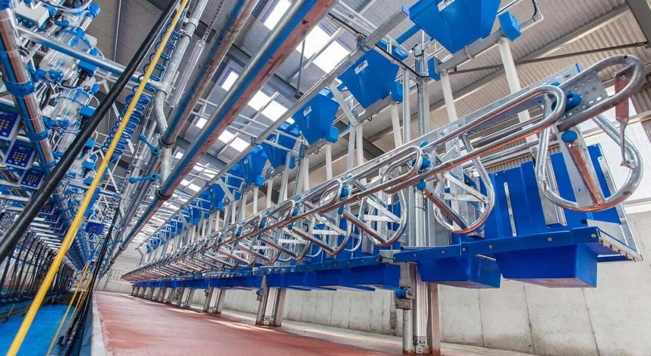 Feed management