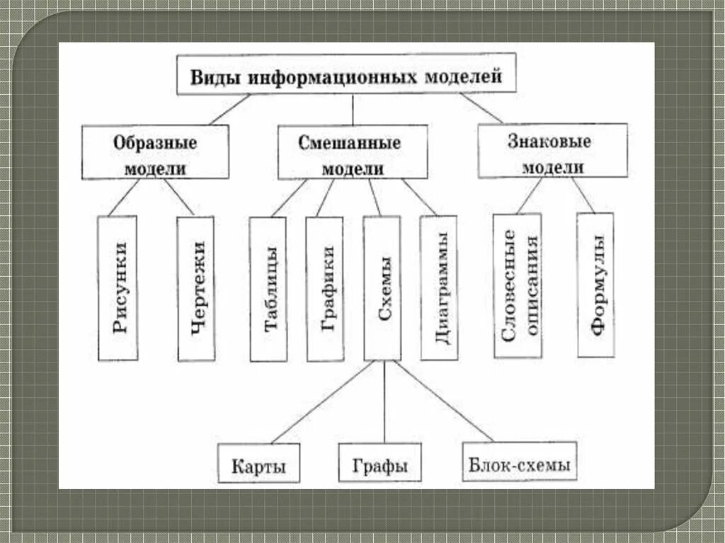 Информационные модели информатика 6 класс. Виды информационных моделей. Виды информационной МО. Видыинфлрмационных моделей. Фиды информационных можелей.