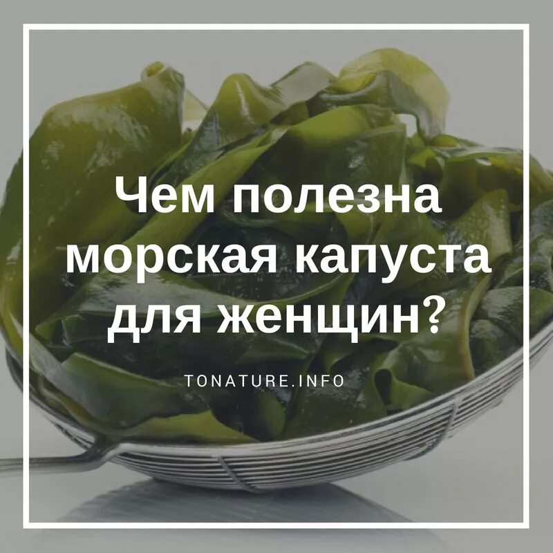 Морская капуста польза для мужчин. Чем полезна морская капуста. Чем полезна ламинария капуста. Чем полезна капуста. Чем полезна морская капуста для женщин.