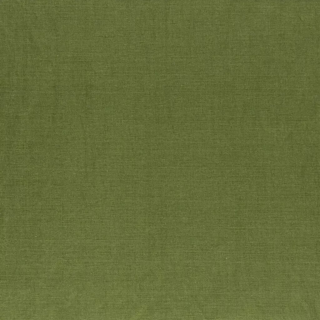 Ткань болотного цвета. Olive ткани. Оливковая ткань. Olive ткани. Olive ткани.
