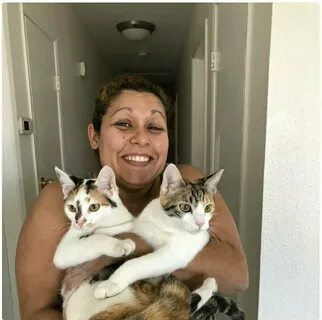 Сначала кота